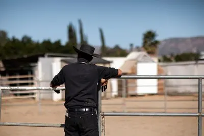 Cowboy silhouette against warm light